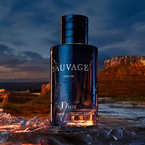 is dior sauvage still good|which dior sauvage is best.